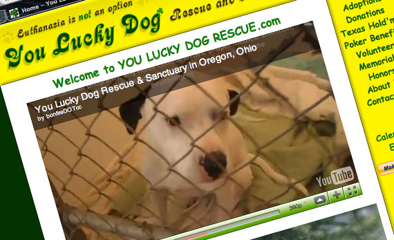 youluckydog-slide