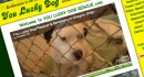 youluckydog-slide