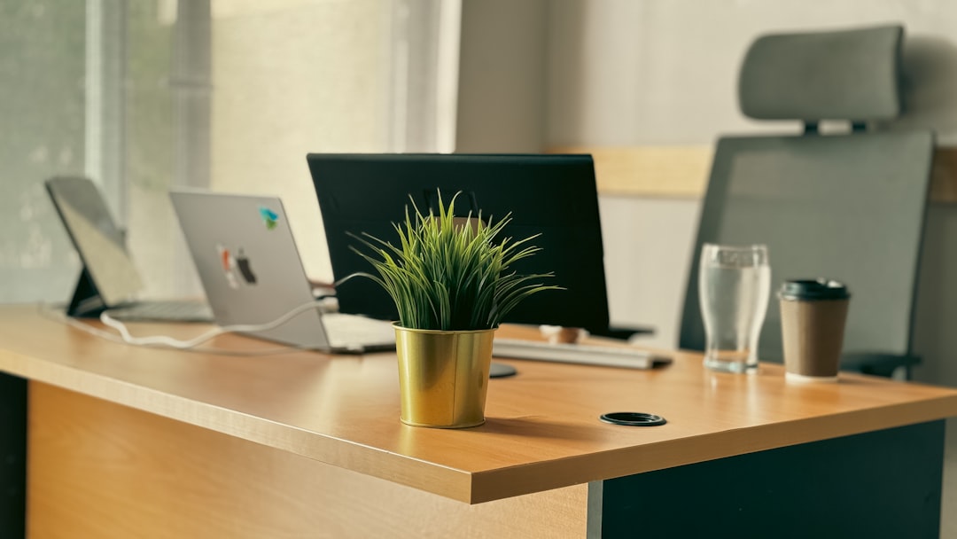 web development news May 2026 - a desk with a laptop and a potted plant on it