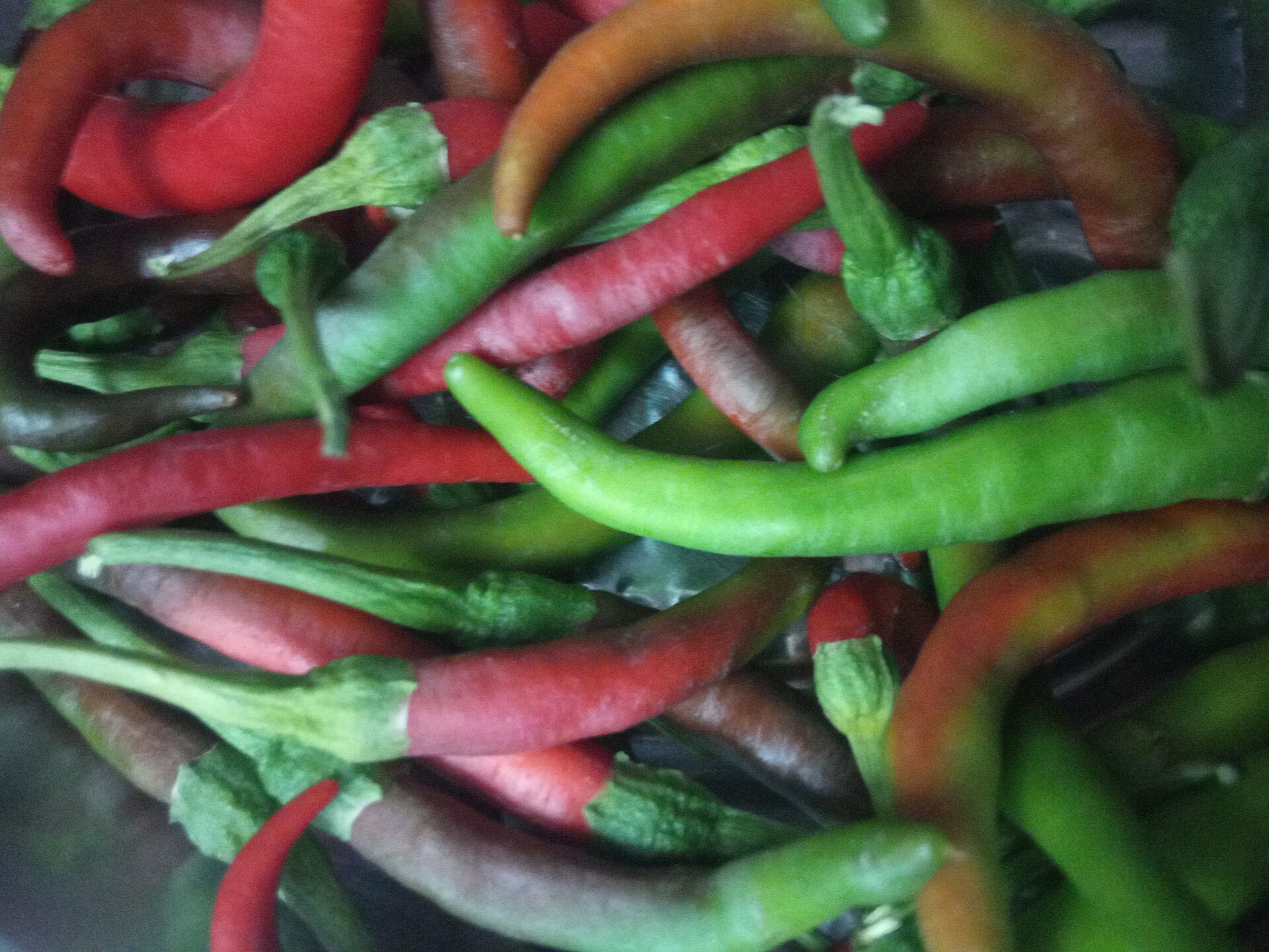 How spicy food tricks your brain
