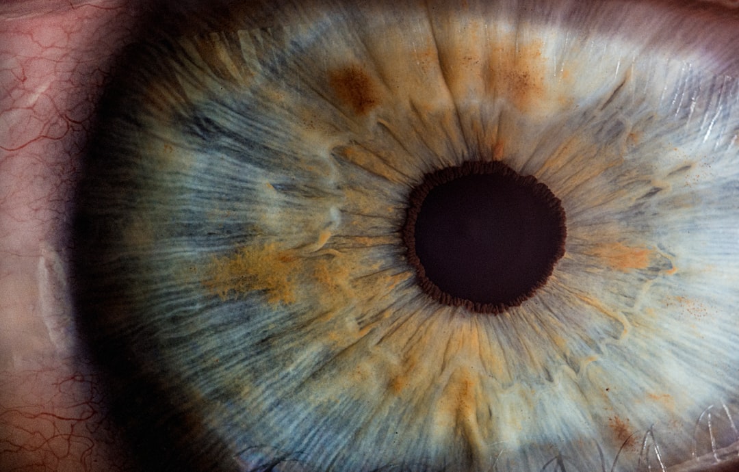 human eye color vision