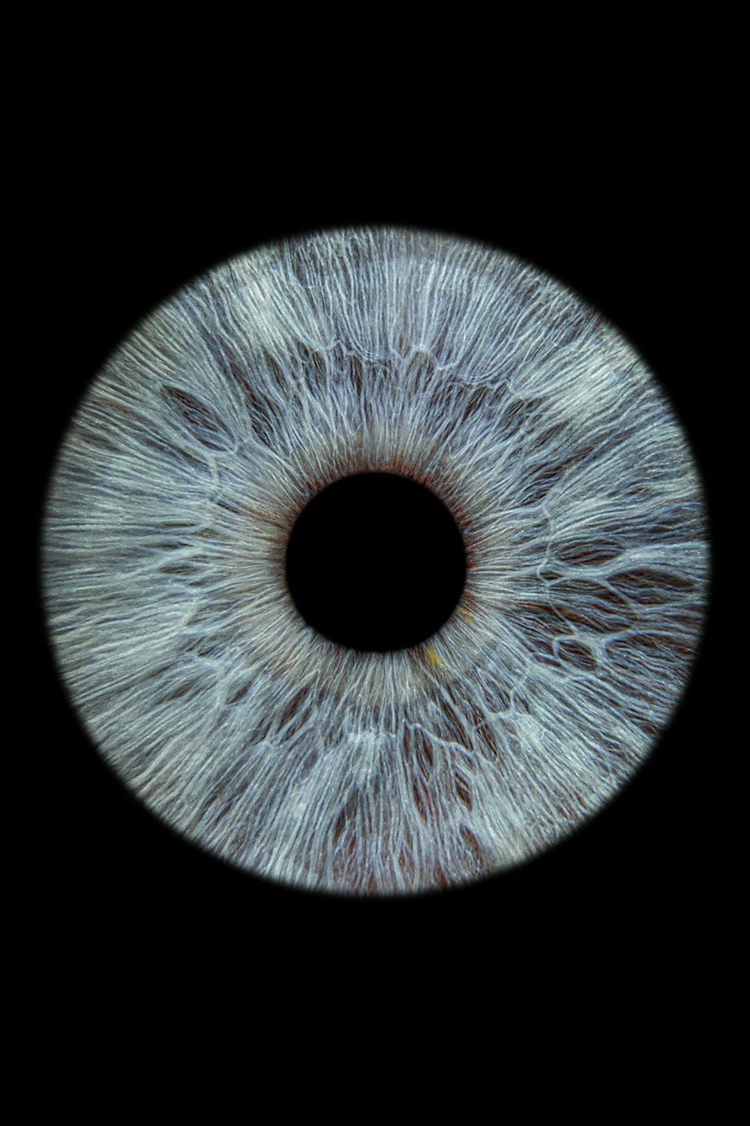 human eye color vision