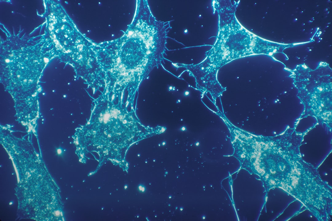 Immune system self vs non-self recognition