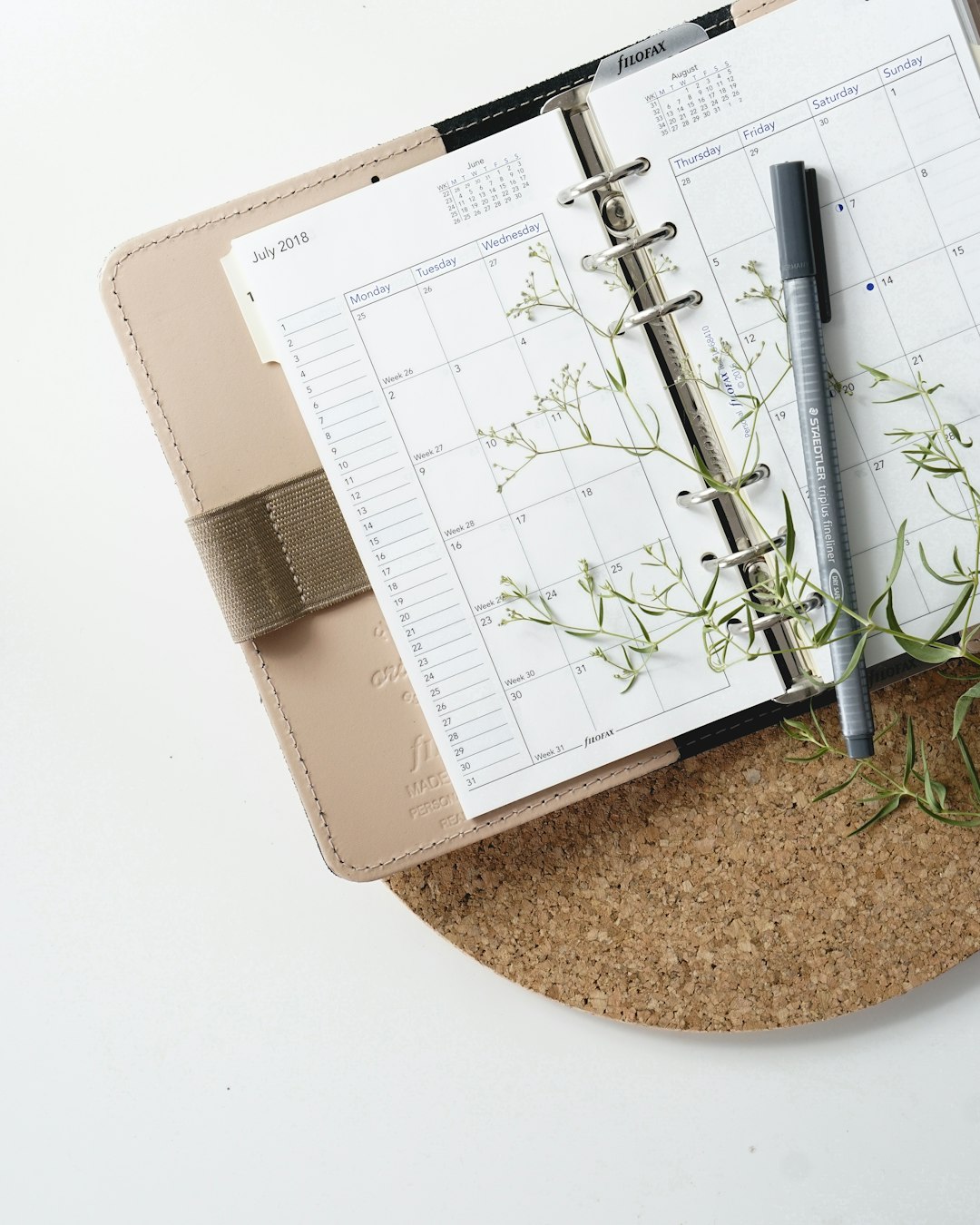 Canva printables for Etsy