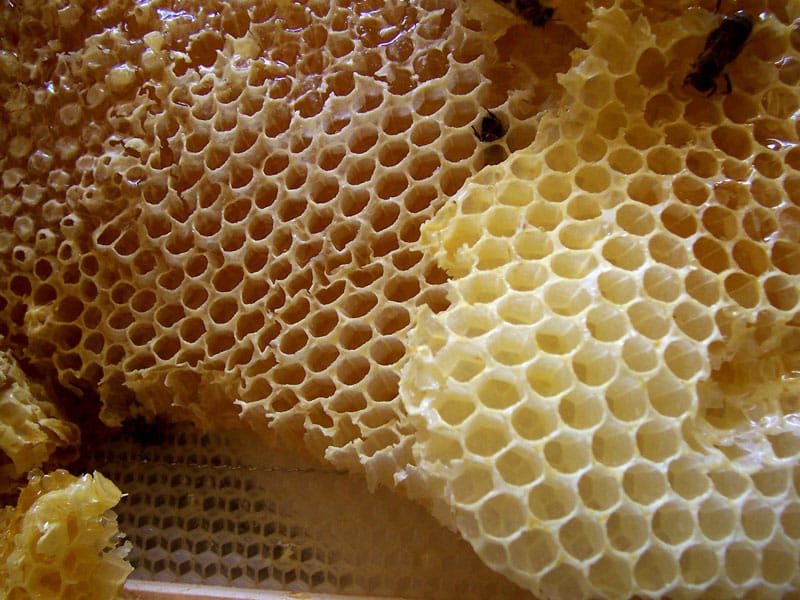 Honey shelf life chemistry