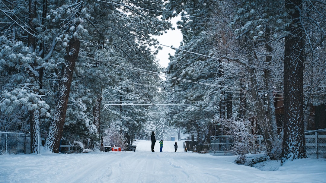 Why snow muffles sound