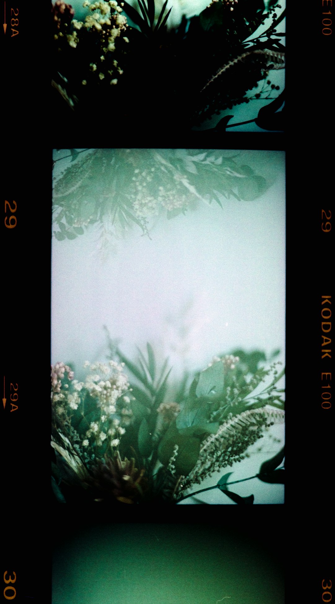 Grainy vintage film effect in Canva