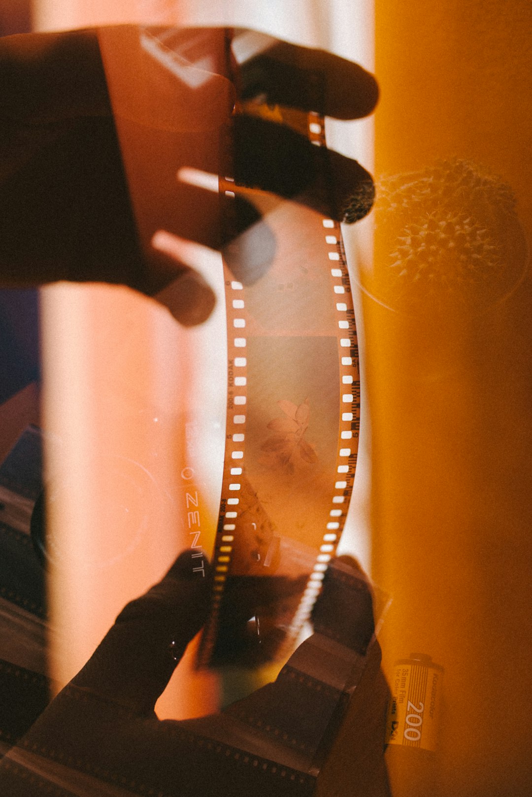 Grainy vintage film effect in Canva